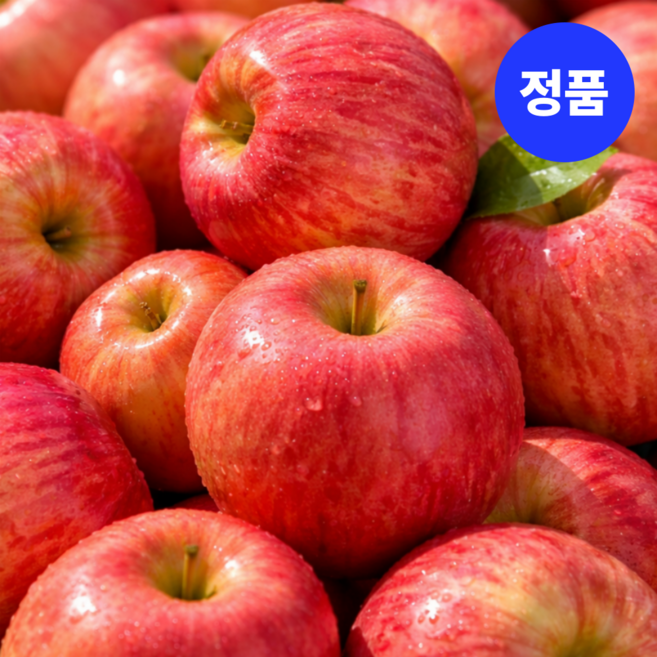 [재구매율1위] 한정수량 산지직송 고당도 청송 부사 사과, 1박스, 5kg (S-M)
