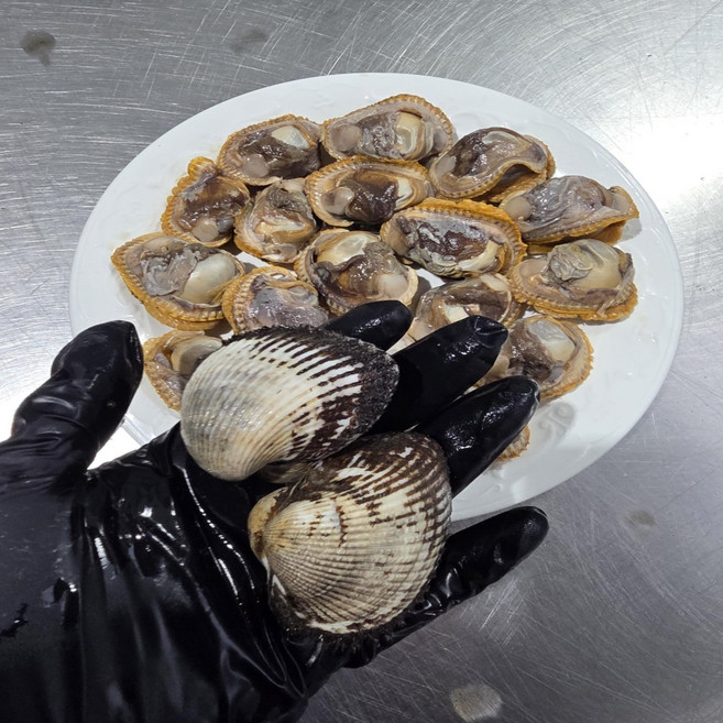 (당일조업) 청담농수산 국산 벌교 대왕 새꼬막, 1개, 3kg (k당 15-20미)