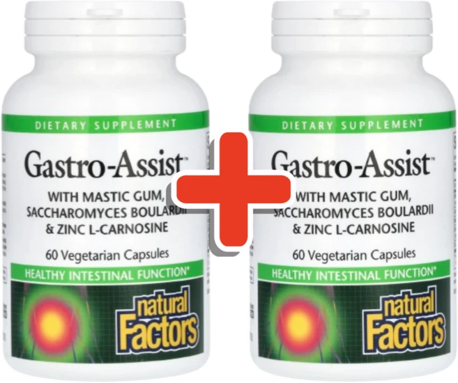 내추럴팩터스 Gastro-Assist 매스틱 검 60베지캡슐, 60정, 2개 - 쿠팡