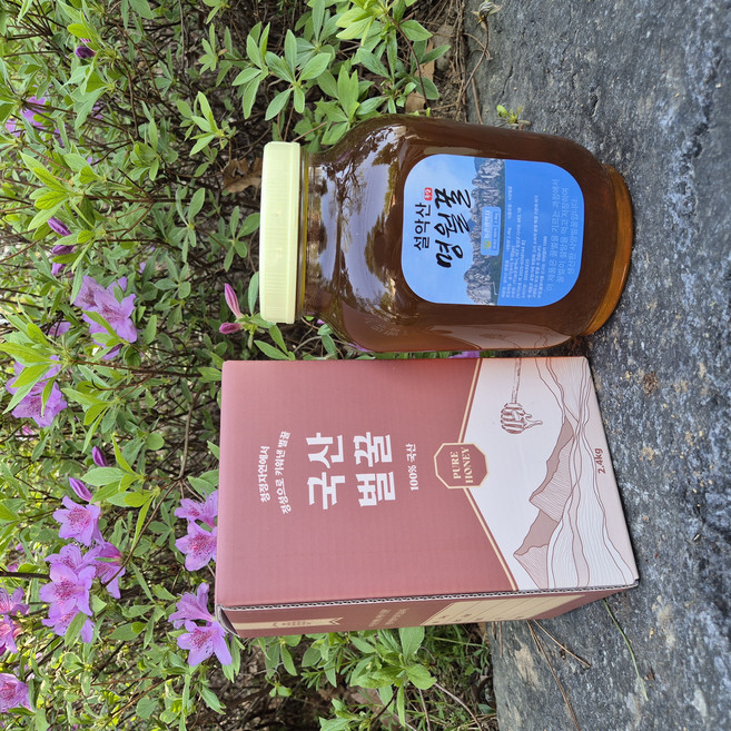 VNH 사양 잡화꿀 2.4kg 1개 설악산 명월꿀 국산꿀 업무용 도매