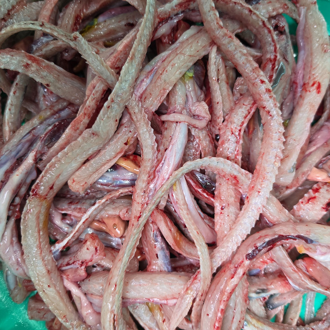 국내산 냉동 장어뼈 1kg, 1개, 머리+뼈(내장 포함) 냉동 1kg
