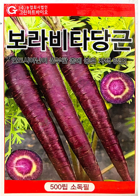 보라비타 500립 그린하트 25년 당근씨앗