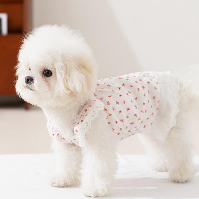 Coablu 강아지 고양이 플라워 리본 민소매 원피스 봄여름 얇은 통기성, 1개, 흰색