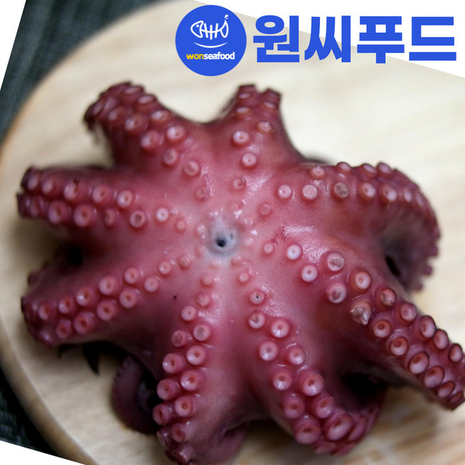 냉동 자숙문어 1마리 1.4kg 1.6kg 자연산 모리타니아 손질 통 참문어 숙회 제수용, 1개