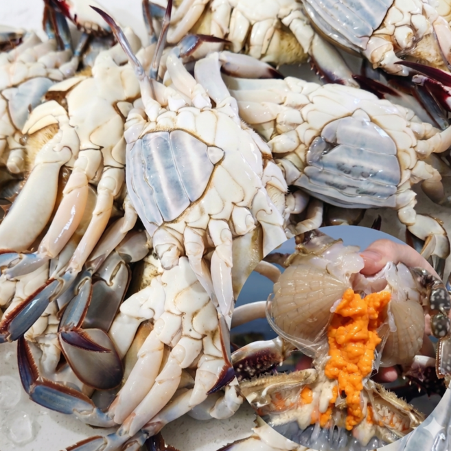 산지직송 서해안 생물 알배기 활 암꽃게, 1개, 1kg