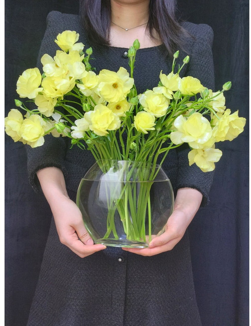 버터플라이 라넌큘러스 아리아드네 꽃 생화 꽃다발 배송 도매꽃 절화 주문 생화농장직송, 노랑색 버터플라이 한다발, 1개