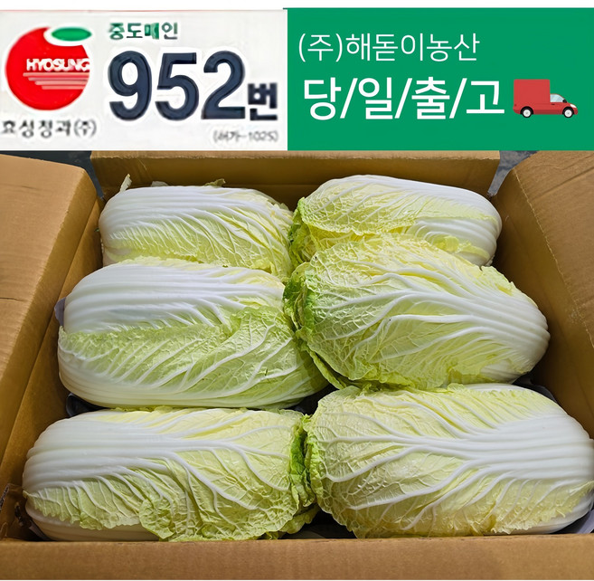 해돋이농산 알배기 배추 알배추 쌈배추 6통 12통, 6개, 500g