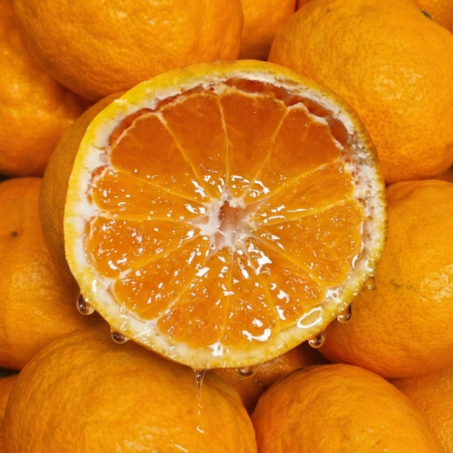 [4월한정] 제주산 프리미엄 고당도 카라향 산지직송, 1박스, 중소과 2kg