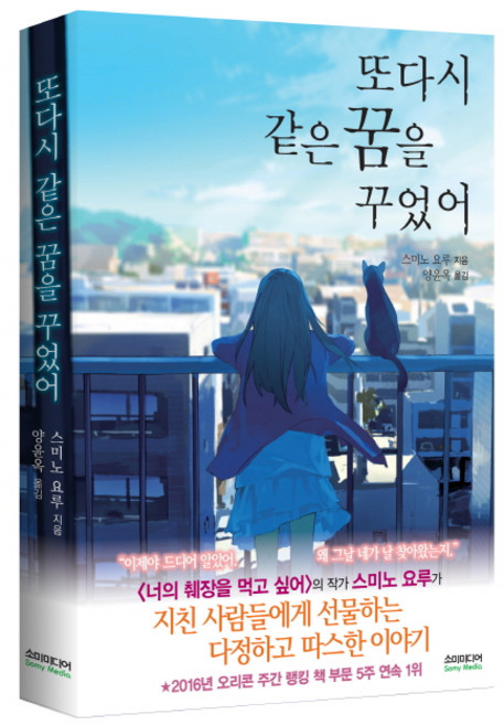 또다시 같은 꿈을 꾸었어, 소미미디어, 스미노 요루