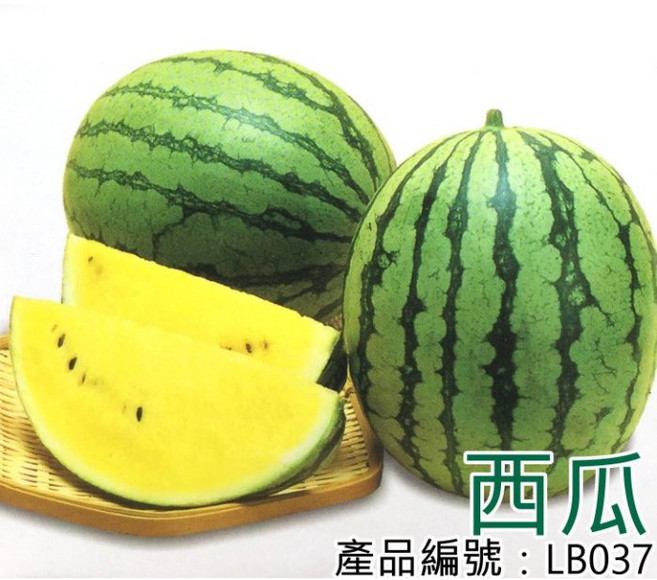 醬米資材 黃西瓜種子, 1個