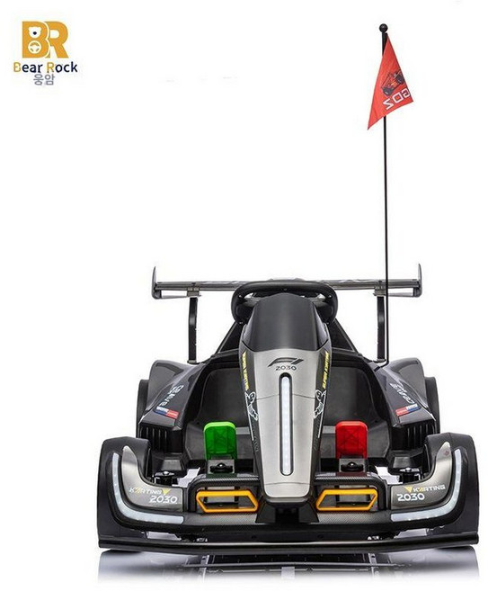 1인용 고카트전동차 레이싱 전기차 1인 RS6, 전기 구동, 1개, 그레이-24V