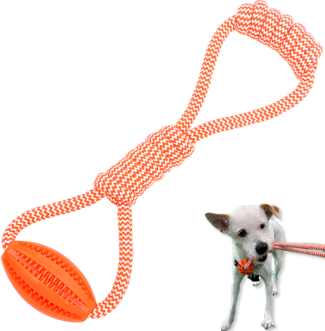 LETOJ 강아지 타원형 터그놀이, 1개, 오렌지