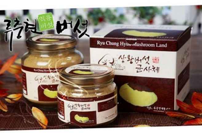 상황 버섯 균사체 요리용 가루 건강 국산 상황 버섯 식품 엑기스 농산물 추출물 식수용 가공품 식품용