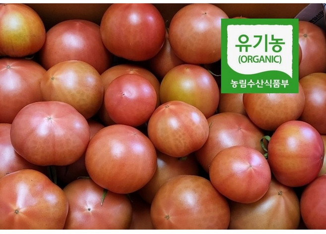 당일발송 담양 친환경 유기농토마토 유기농 완숙찰토마토 동양종, 1개, 담양유기농완숙찰토마토3kg