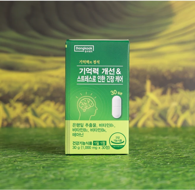 스트레스로 인한 긴장 케어 동국제약 기억력의 정석, 1개, 30정 - 쿠팡