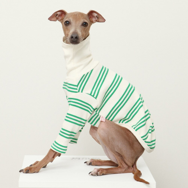 도기스타 이탈리안그레이하운드옷 아이쥐옷 신축 면 티셔츠, 초록, 1개