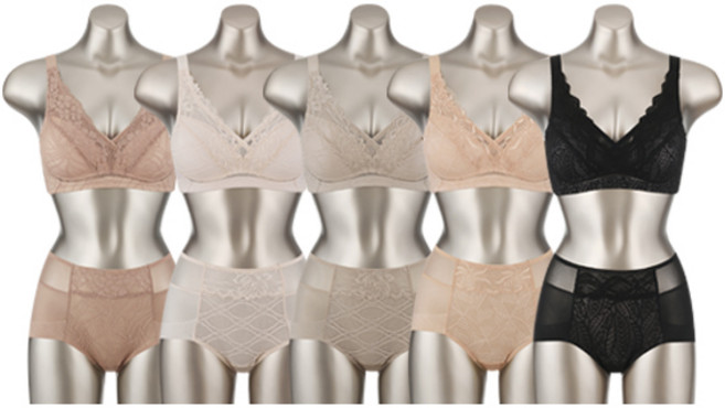 [BEST 판매량] 오모떼 올데이 수피마 베이직 여성 속옷 노와이어 브라 팬티 10종 풀세트