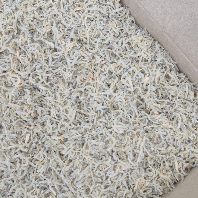 오늘의바다 국산 햇 업소용 세세멸치 1.5kg 실속형 아기 지리멸치 (당해 생산), 1개