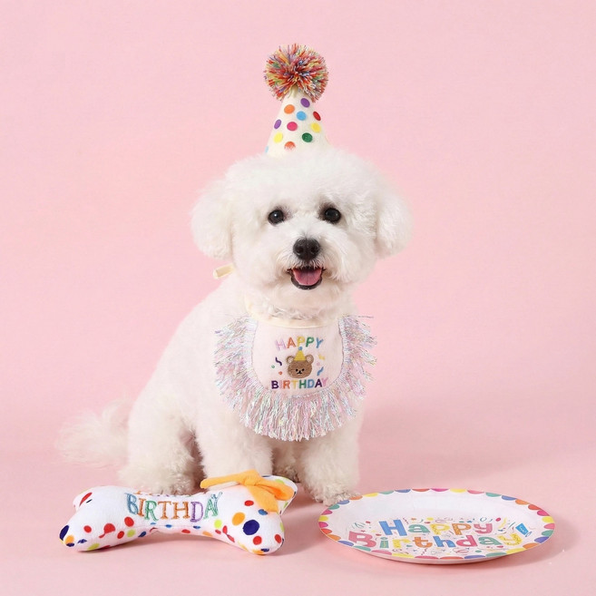 [댕댕이 생일파티] 강아지 고양이 생일 축하 4종 실속 세트 (고깔모자+턱받이+뼈다귀 장난감+접시) 촬영소품, 1세트, [4종]모자+턱받이+장난감+접시