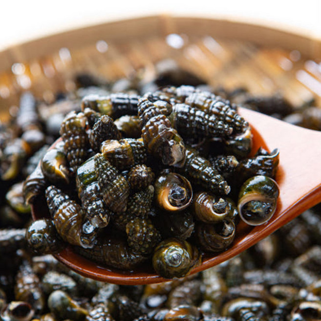 산지청정 영월 동강 100% 자연산 다슬기 생다슬기, 1개, 5kg