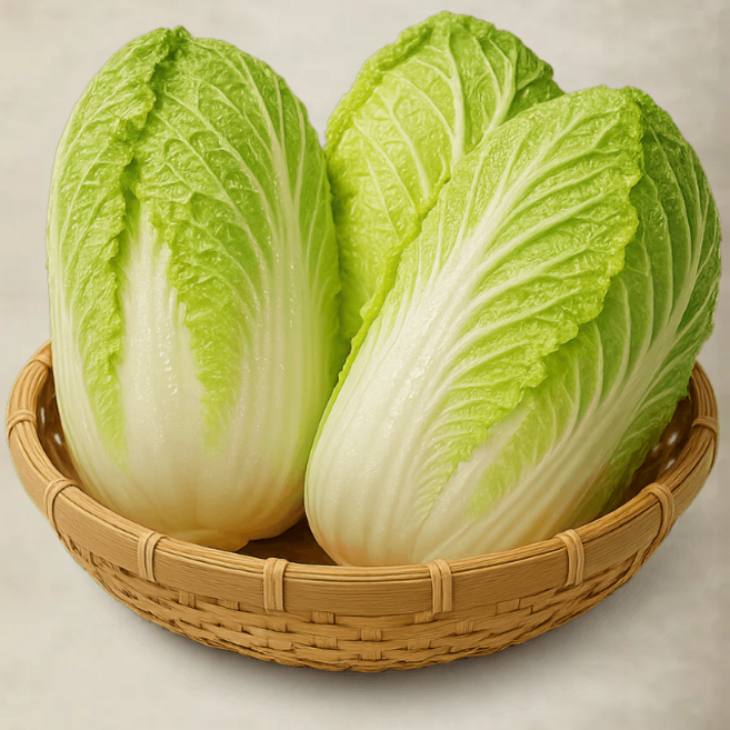 친환경 쌈배추 아삭하고 달큰한 쌈채소 국내산, 2kg, 1개, 2kg