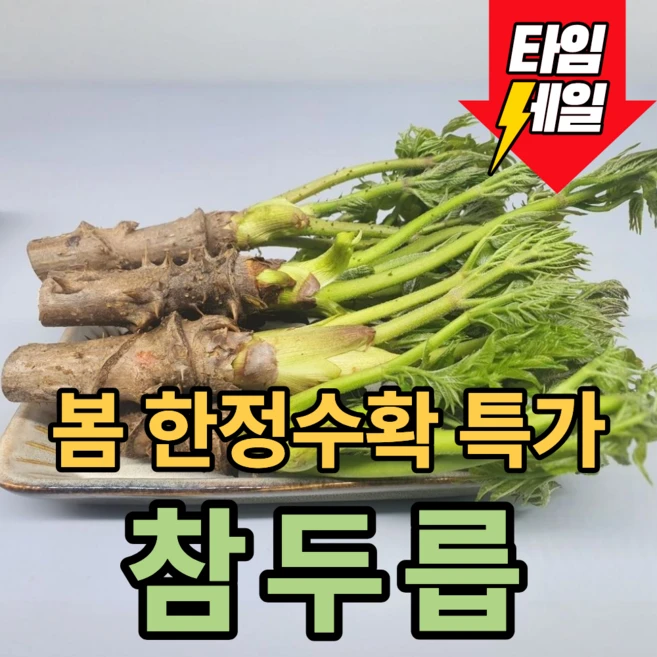 [봄한정수확] 쌉쌀하고 향긋한 참두릅 나무두릅, 5개, 140g - 쿠팡