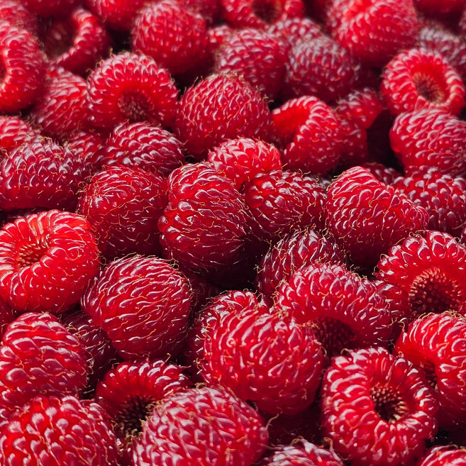 산딸기 냉동과 프리미엄형 [원산지:국산(경상북도 포항시 북구)], 1개, 500g