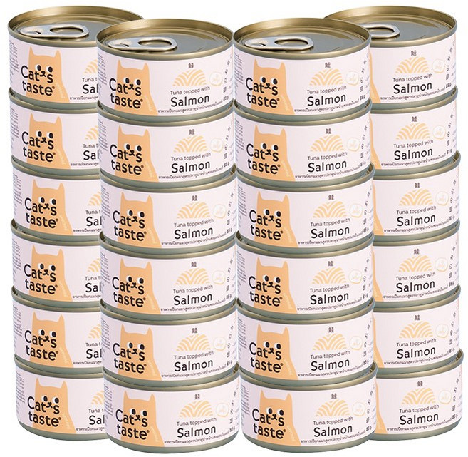캣츠테이스트 고양이 휴먼그레이드 기호성 습식캔 85g 묶음할인 1박스(24개), 24개, 연어그레이비