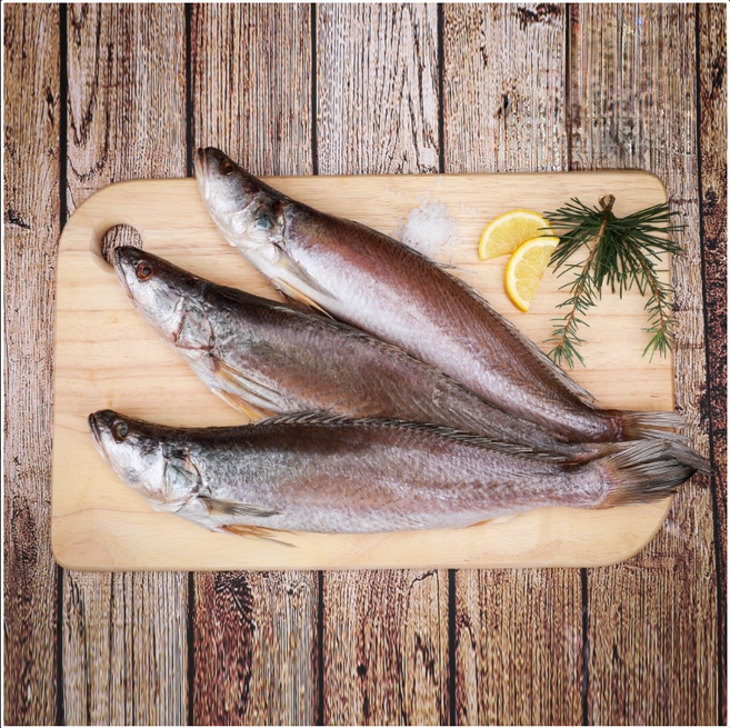 반찬용 식사용 손질되어 먹기 편한 반건조 민어조기 뾰족조기 쪼삐조기 영상가이석태 말린생선, 30cm 2마리, 1개