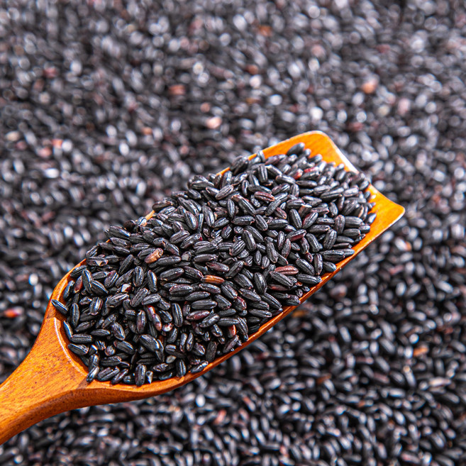 진주 찰흑미! 찰지고 쫀득, 1개, 1kg