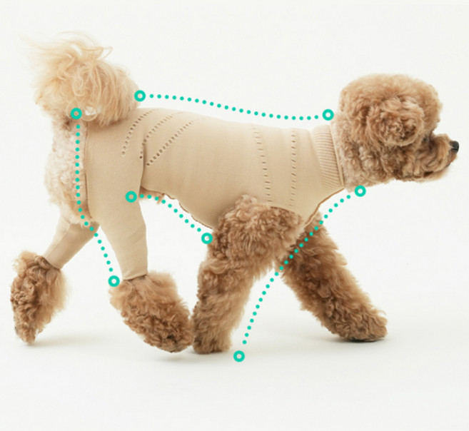 브이랩 파텔라 강아지 슬개골탈구 보호의류 라이트베이지, Short, S, 1개