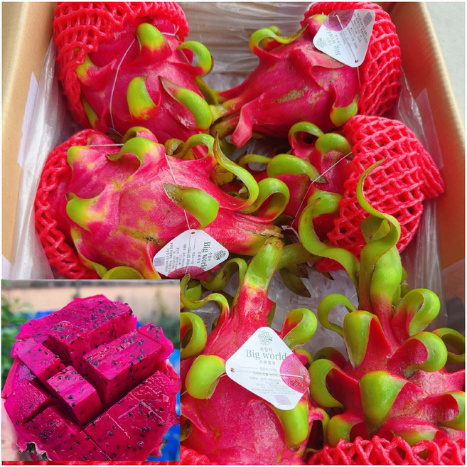 당도 보장 프리미엄 레드용과 5kg(6~9과), 1개, 5kg