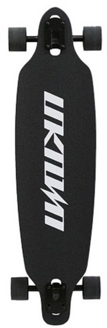 UNKNOWN 롱보드, 블랙, 1개