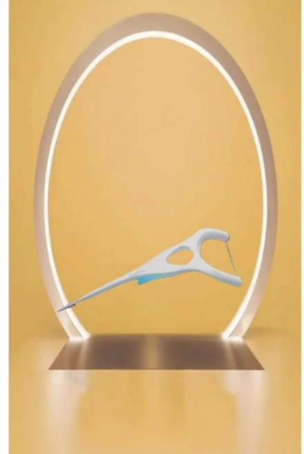 덴텍 컴플리트 클린 치실 픽 음식물 플라크 제거 75개입 DenTek, 덴텍 컴플리트 클린 치실 픽 음식물 플라크 제거 75개 - 쿠팡