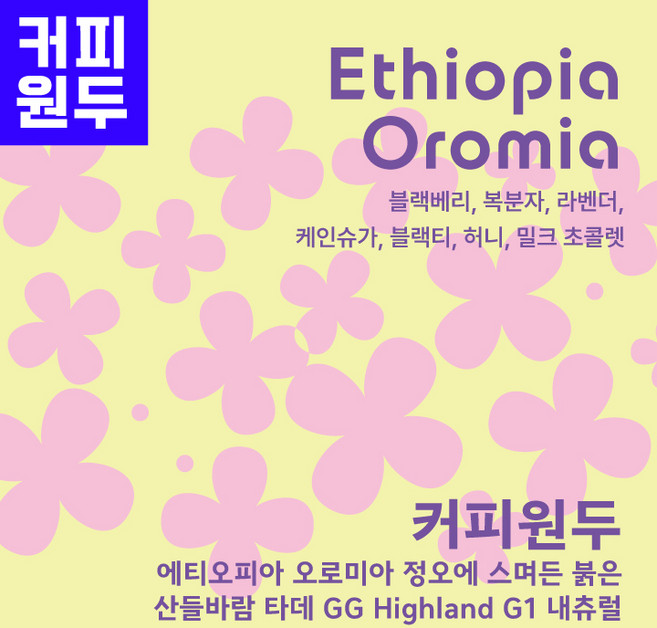 200g 에티오피아 오로미아 정오에 스며든 붉은 산들바람 타데 GG Highland G1 내츄럴, 1개, 프렌치프레스(굵음)