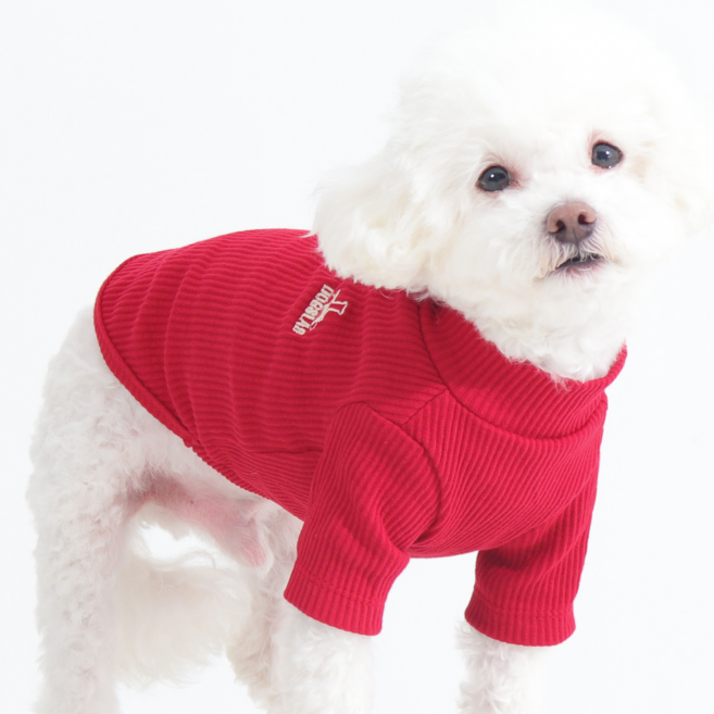 독스랩 강아지 옷 폴라티 골지 티셔츠 겨울옷 실내복, 1개, 레드