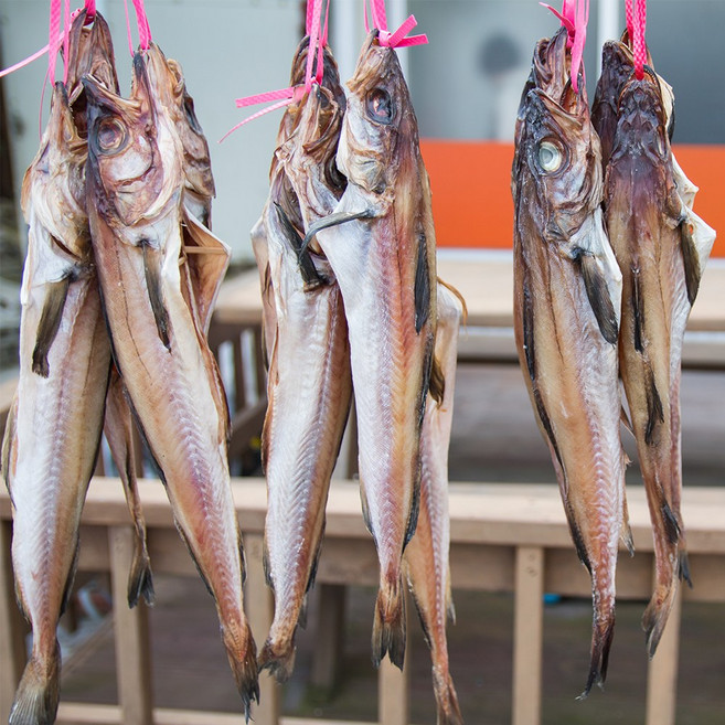 명태 반건조 코다리 3미 1.4kg