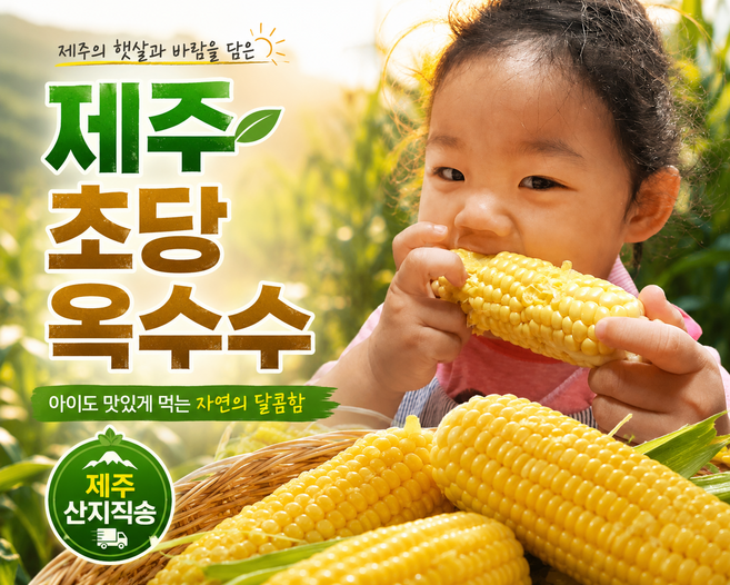 특품 제주 청정 초당옥수수 아이도 맛있게 먹는 건강한 단맛, 10개, 특품 15 cm 이상