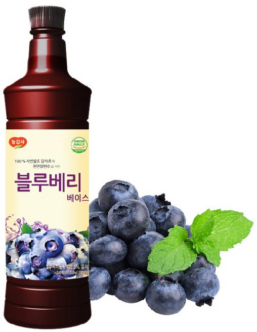 광야 광야식품 음료 블루베리 베이스 970ml x 1개