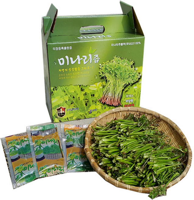 유기농 원료사용 미나리즙, 50개, 100ml