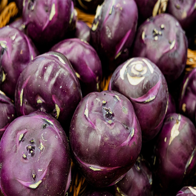 WISHPICK 콜라비 15KG 내외 제주콜라비