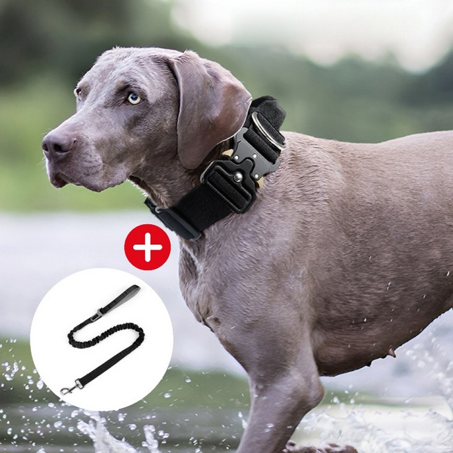 거와스 대형견 중형견 핸들링 목줄 리드줄 세트, 블랙, 1개