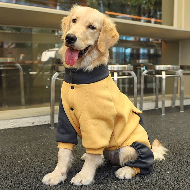 제이독 대형견 고급면 안감기모 올인원 트레이닝복, 옐로우, 1개