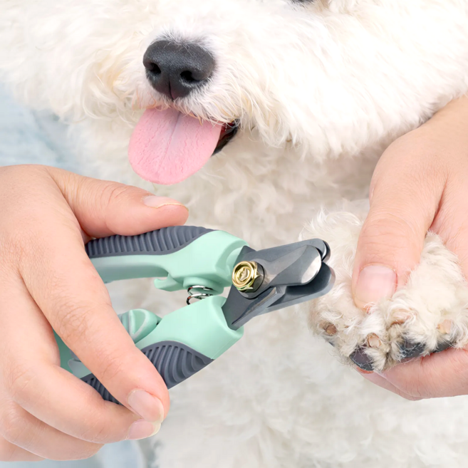 반려연구소 강아지 발톱깎이 고양이 손톱깎기, 그린, 1개