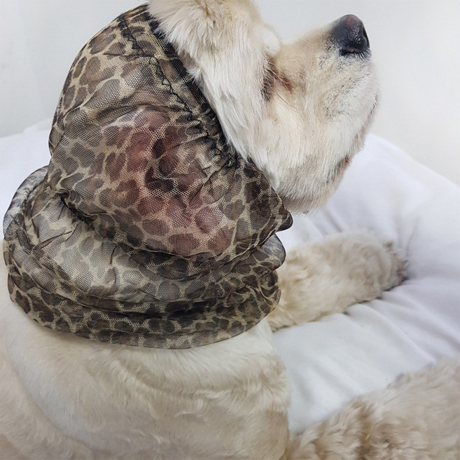 어흥 레오파드 망사 강아지스누드 이어슈슈 귀염증 귀통풍 통풍, L, 1개