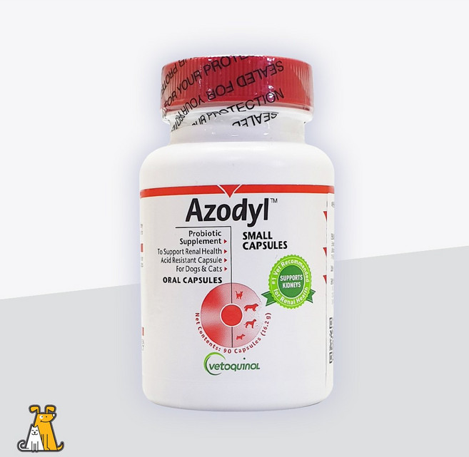 아조딜 90캡슐 강아지고양이 신장질환 신부전 보조제, 90정, 신장, 1개