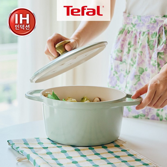 테팔 인덕션 세라믹 에어 주물냄비, 단일구성