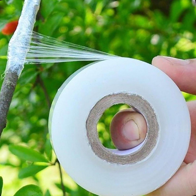 투명형 식물접목 바인딩 테이프 나무관리 이식작업 튼튼한 쉬운부착 원예자재, 1개