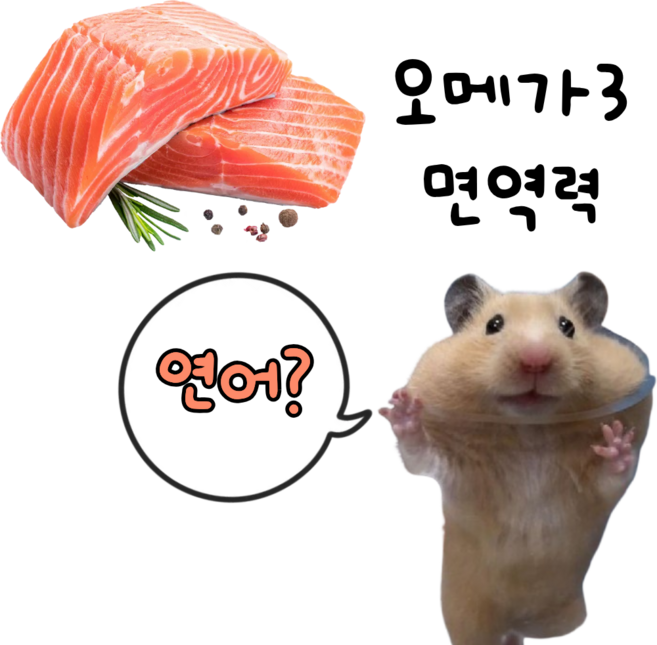 동결건조 연어 트릿 촉촉 큐브 강아지 햄스터 고양이 유산균 간식 동결건조간식, 1개, 10g, 연어맛