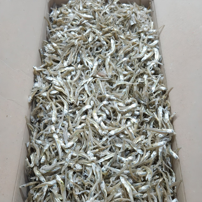 [백송식품] 품질좋은 국내산 햇 가이리멸치 1.5kg 저염 조림 볶음멸치, 1개